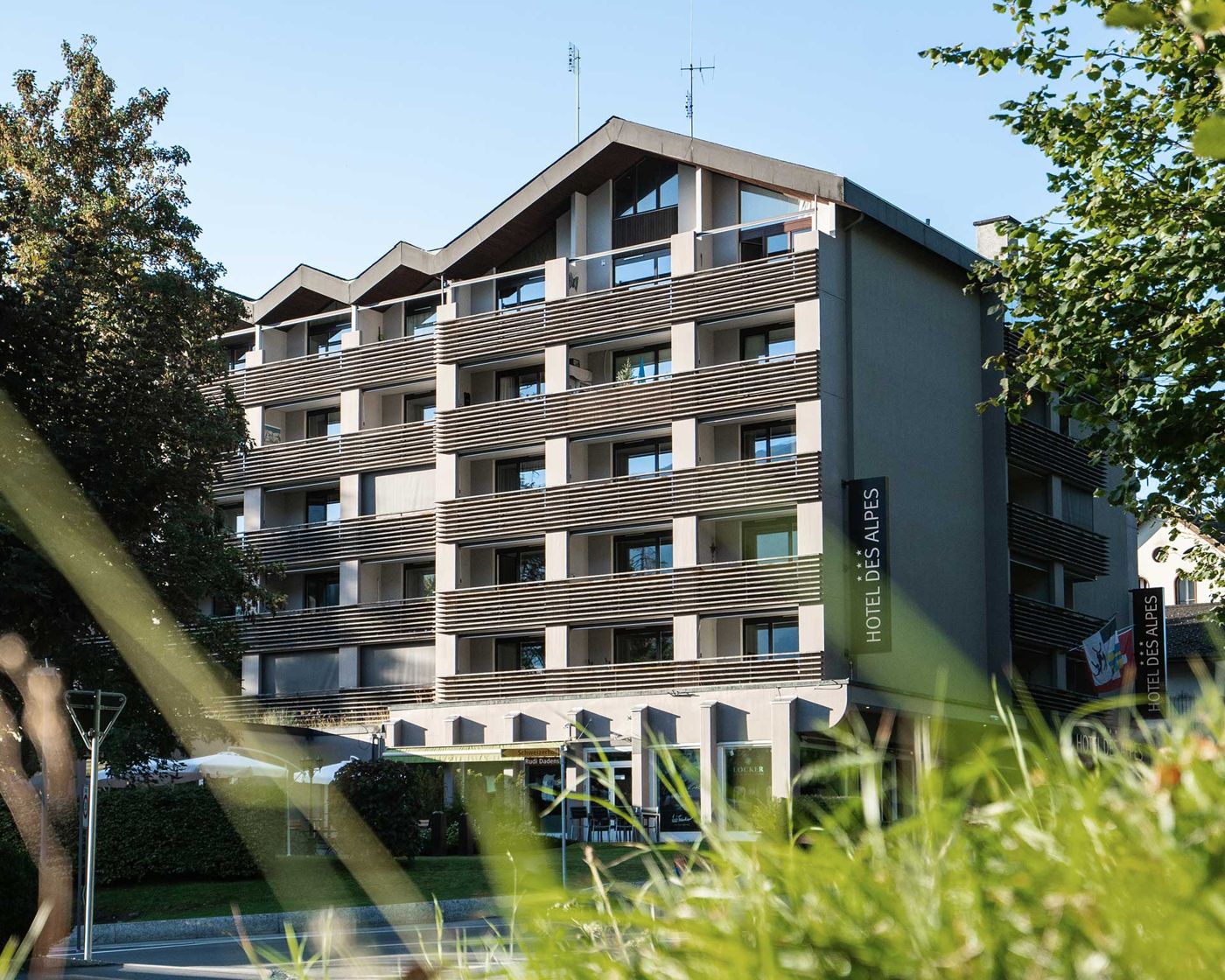 Hotel des Alpes