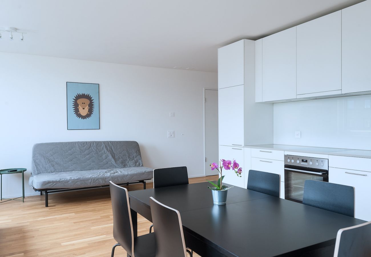 HITrental Zur Metzgern