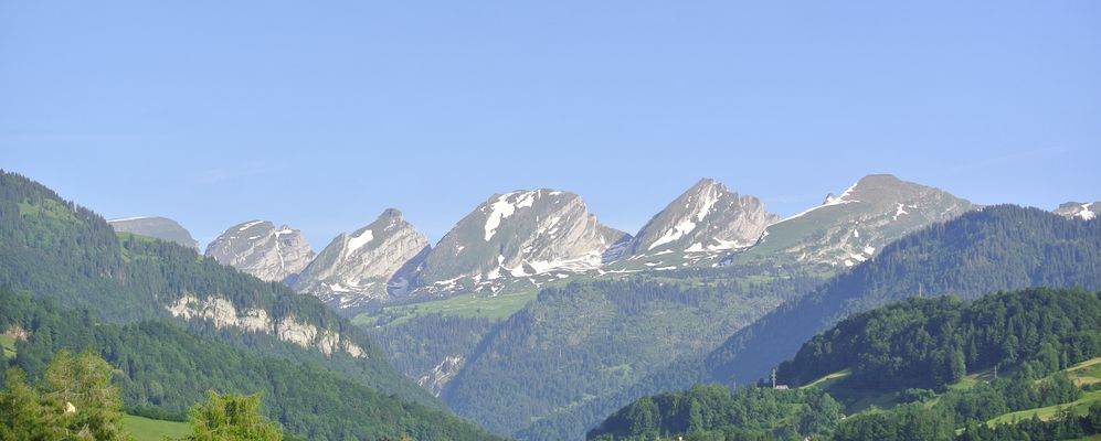 Gasthaus Gemsli
