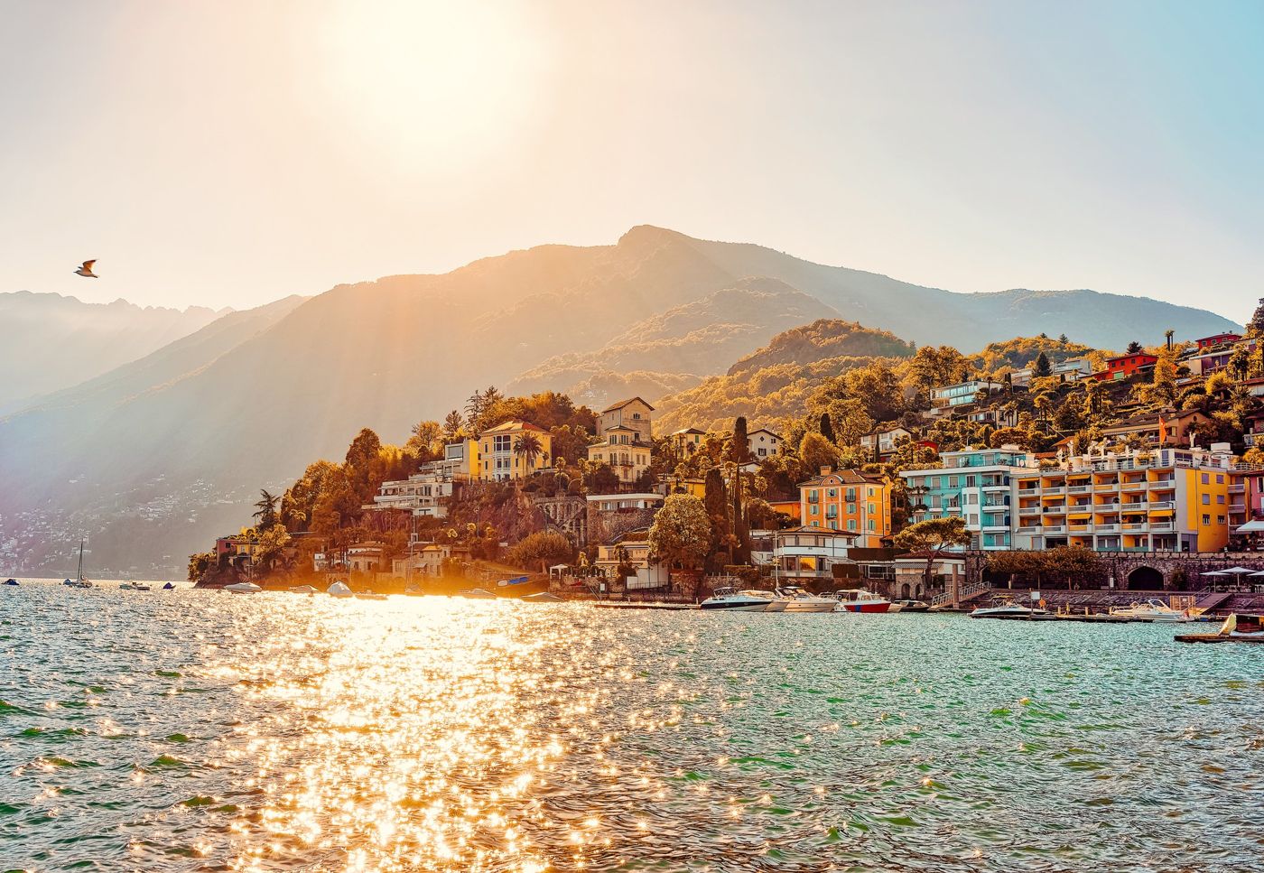 Living Ascona