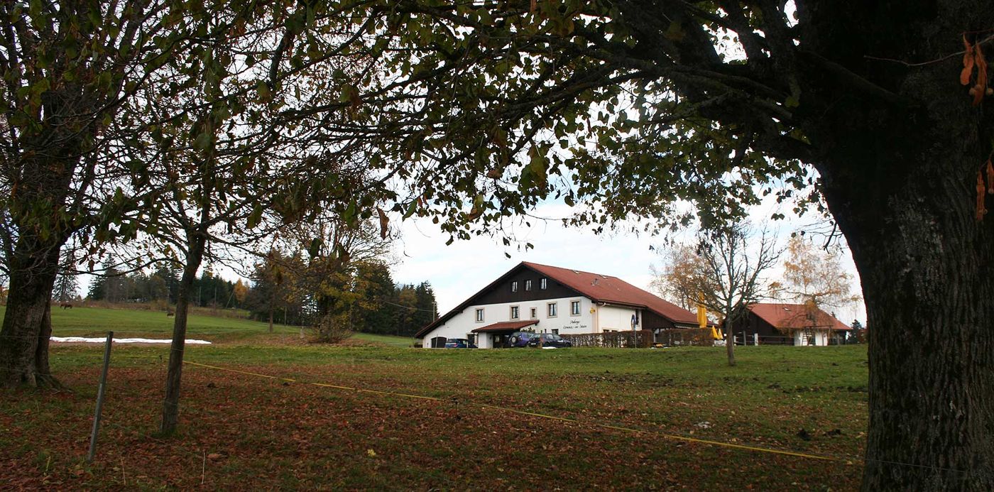 Cerneux au Maire