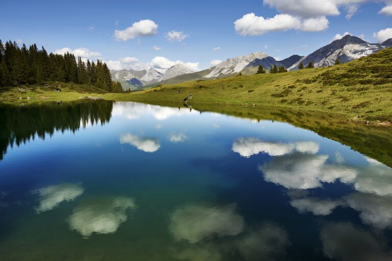 Blatter's Arosa Hotel
