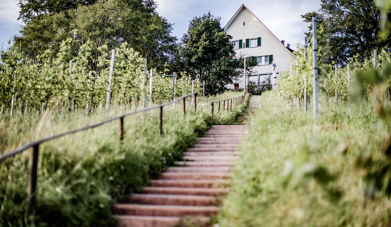 Landgasthof Halbinsel Au