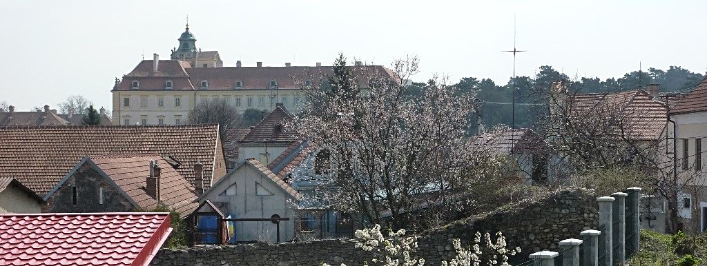 Čech