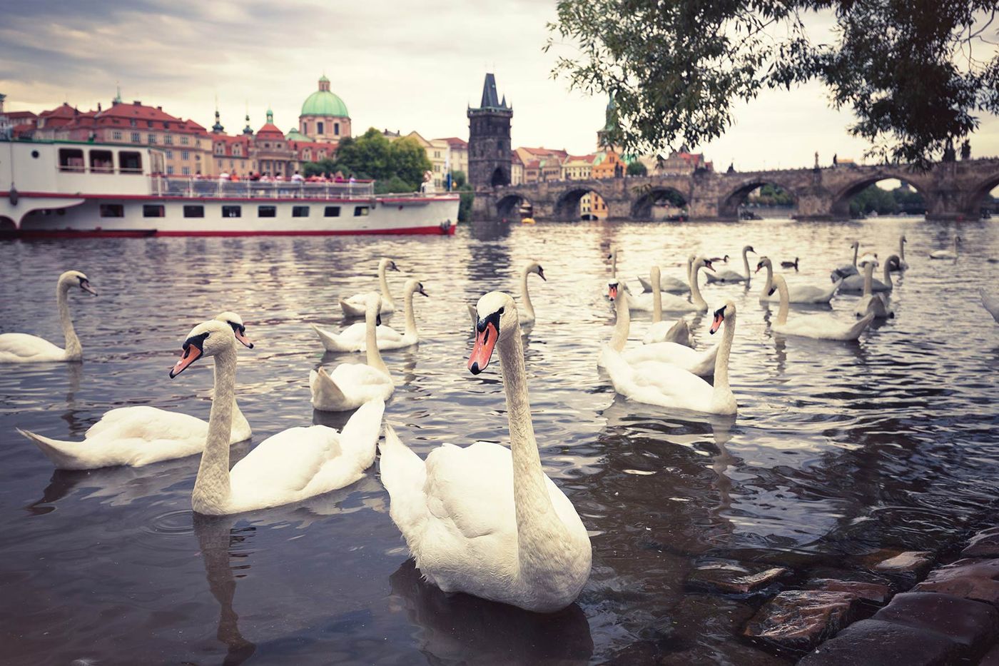 Charles Bridge Economic Hostel