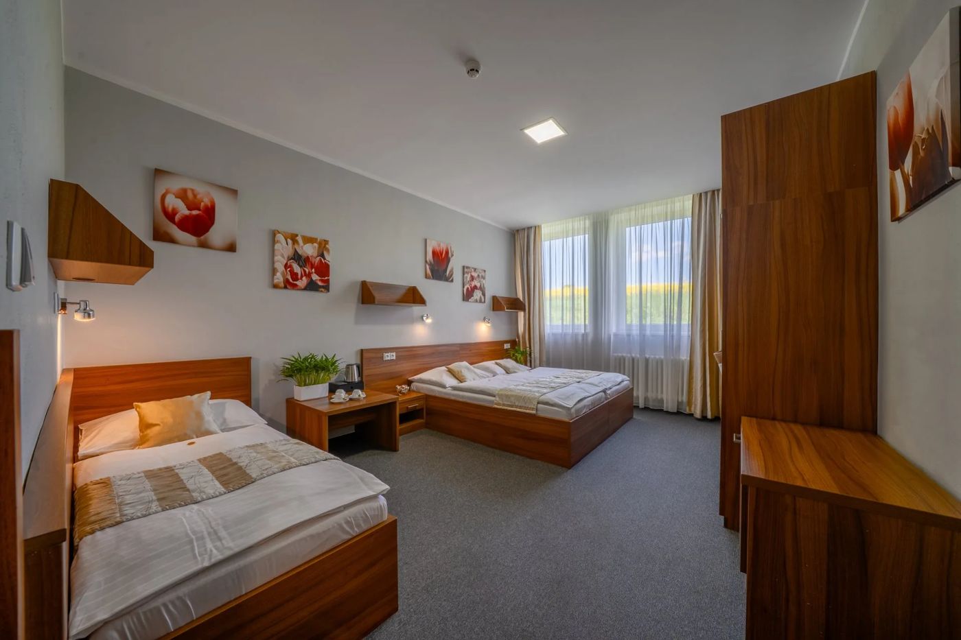 Hotel U Ledu