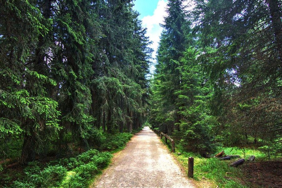 Kaštánek