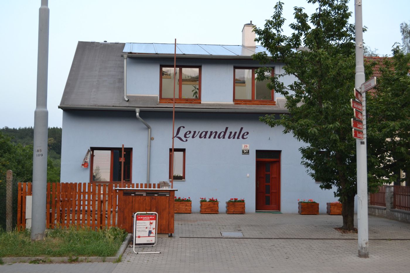 Levandule