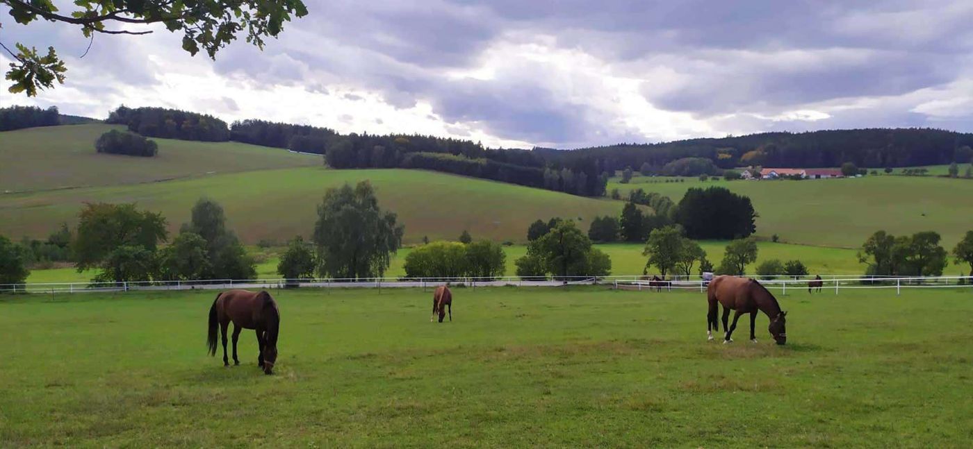Statek Český dvůr