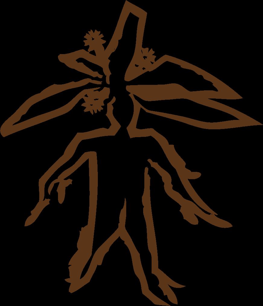 residence Mandragora