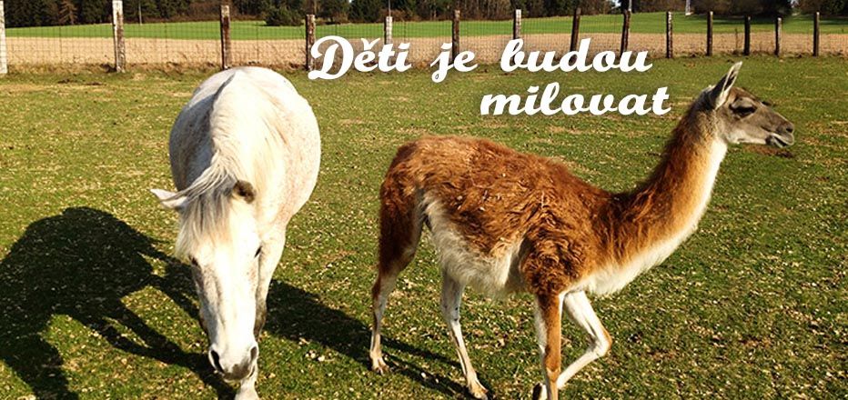 Na Samotě Ve Srubu