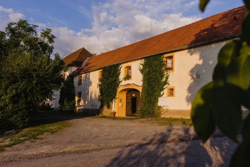 Vinický dvůr