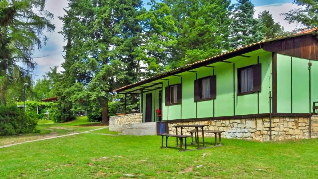 Juniorcamp Nová Živohošť