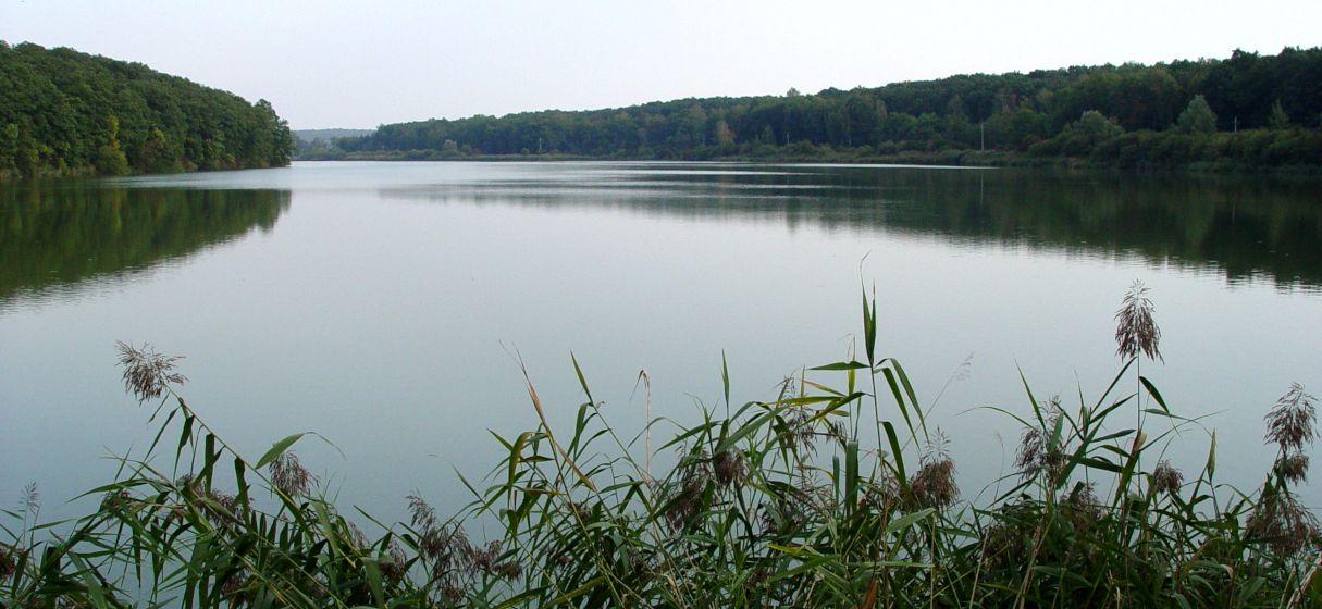 Penzion Záhornice