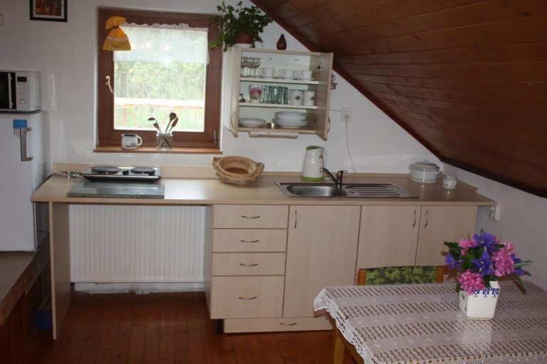 Apartment BENCI