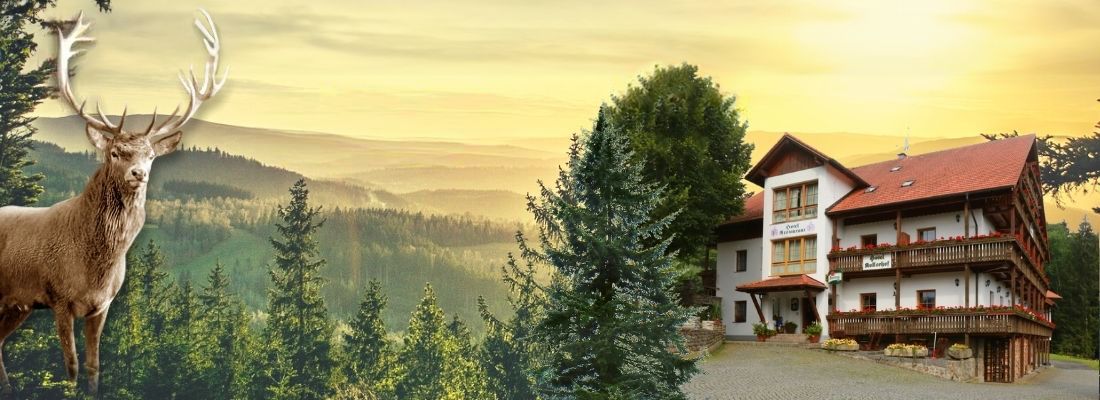 Hotel Kollerhof