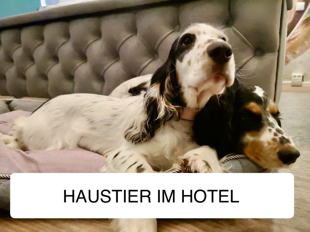 Bio BoutiqueHotel Schwarzer Bock