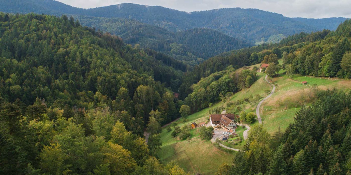 Paradies