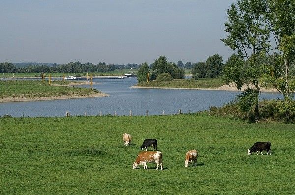 Ferienwohnung "Am Bach"