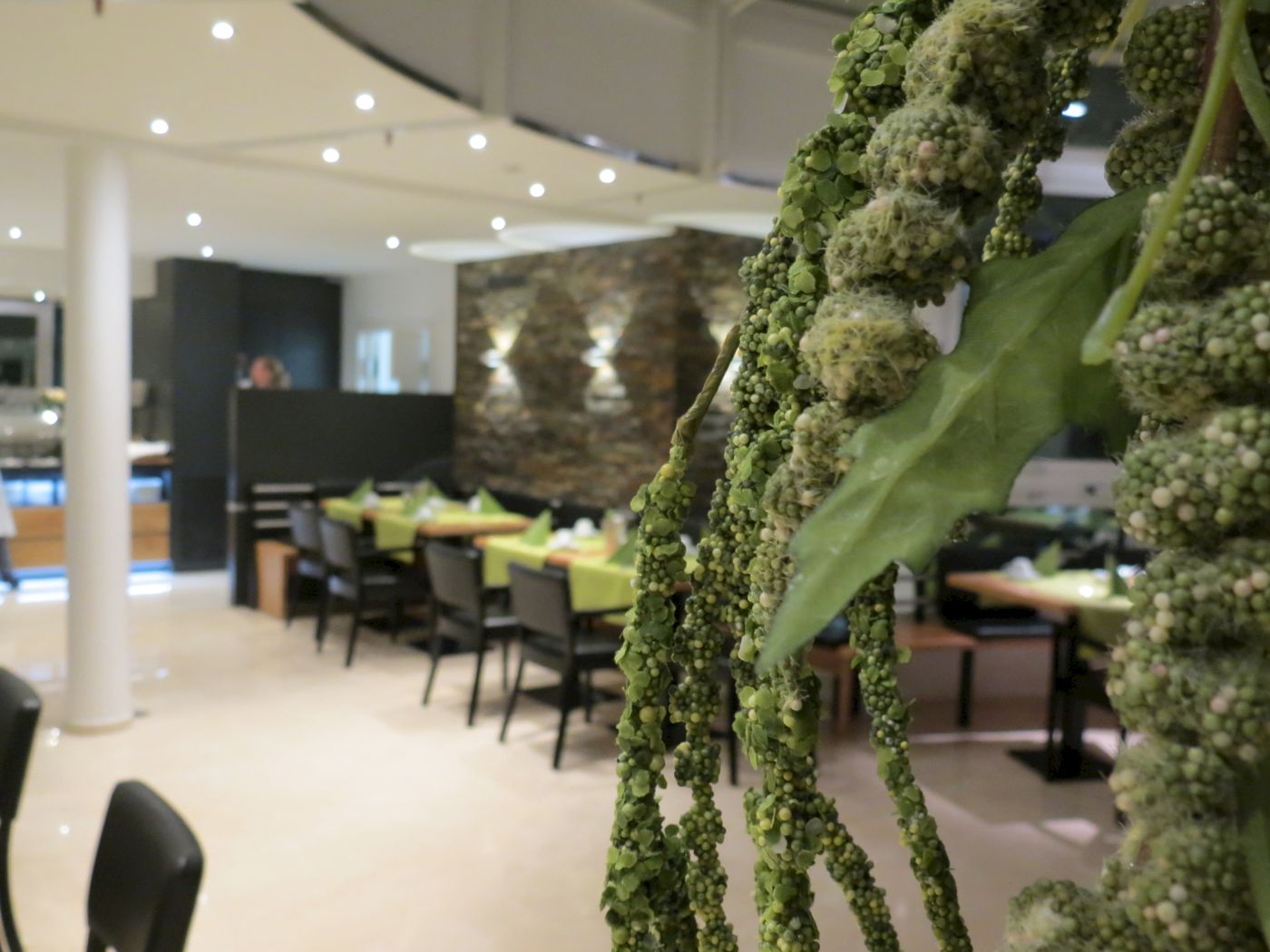 Hotel Comfor