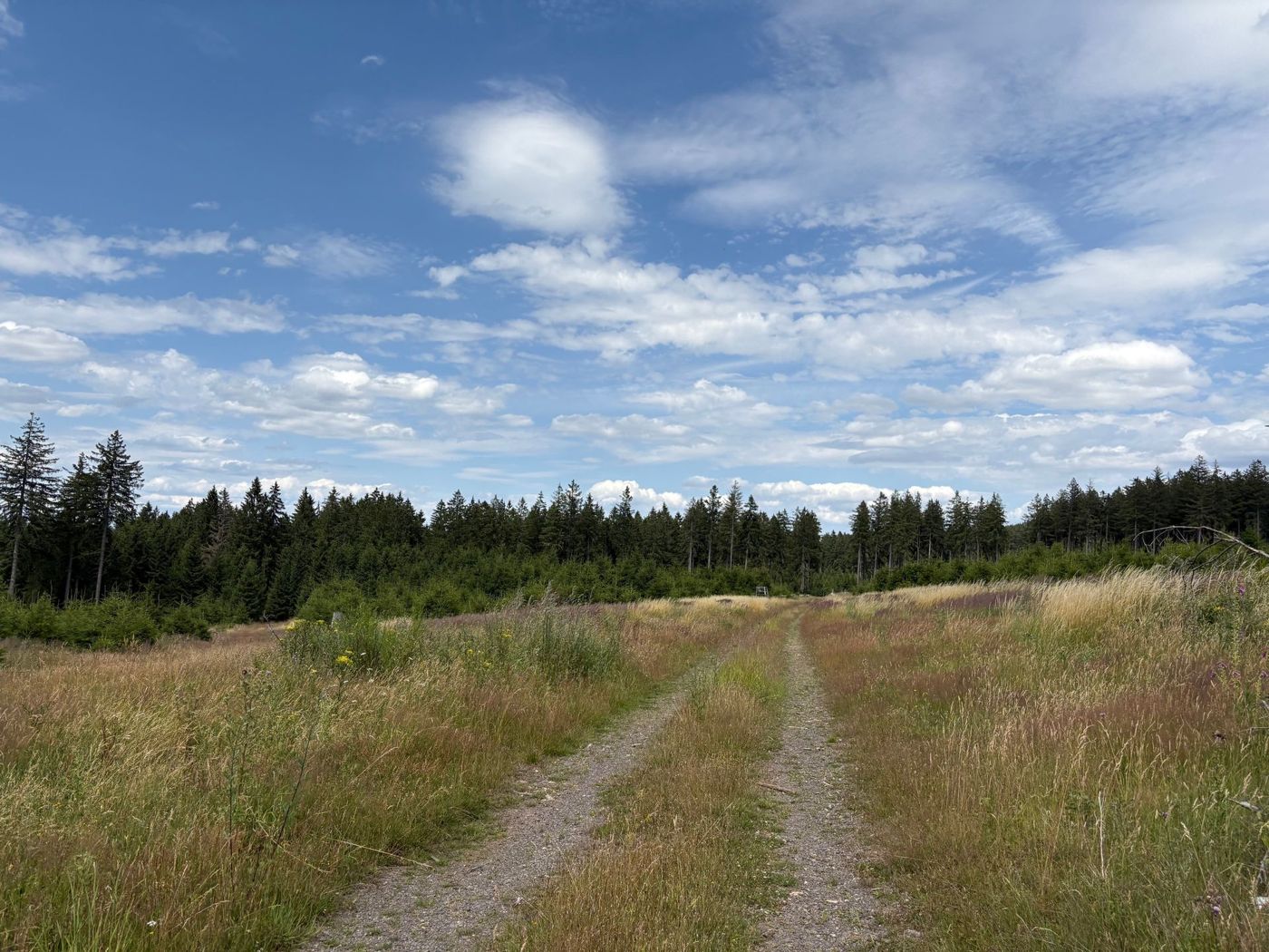 Romantikmühle Heartlandranch