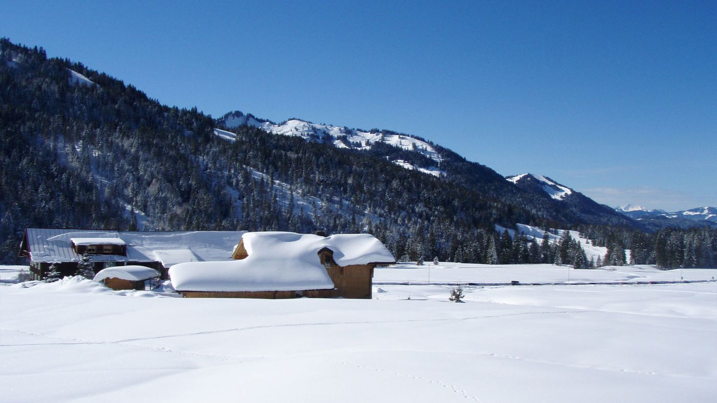 Alpenrösle