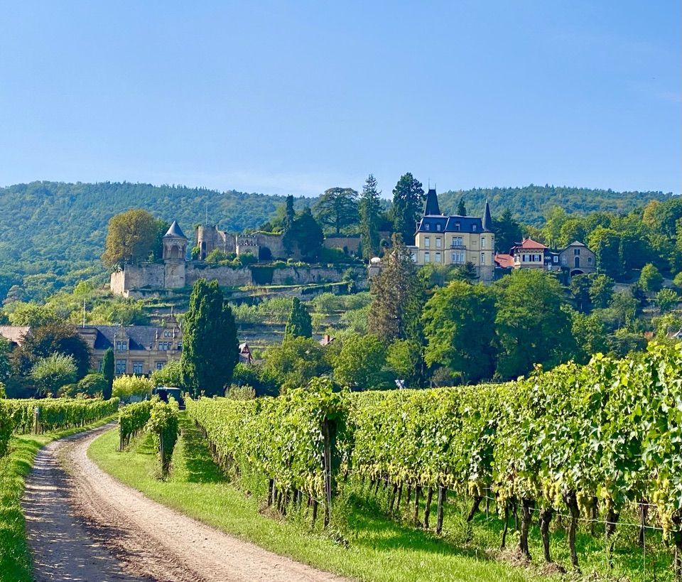 Eulenhof