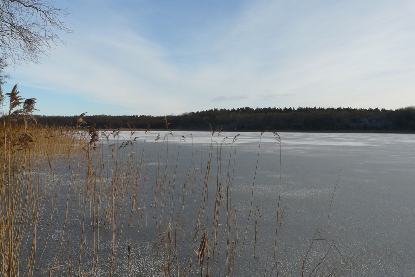Ferienhäuser Seewiesen