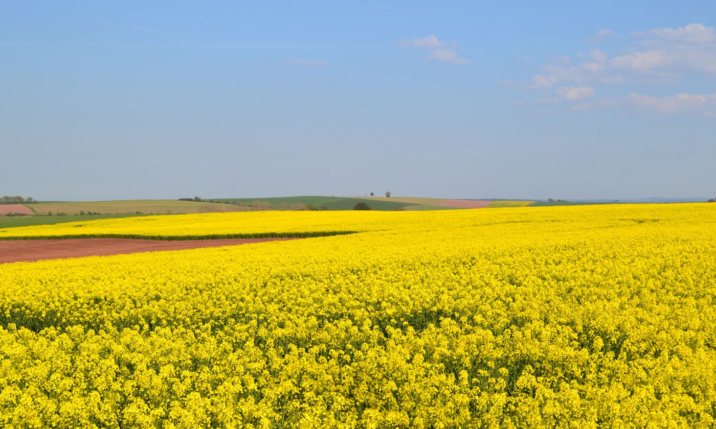 Eifelhof Weina