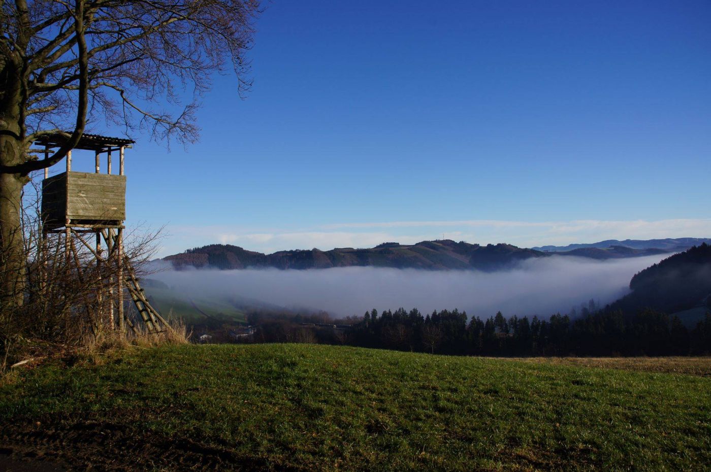 Holländer Hof