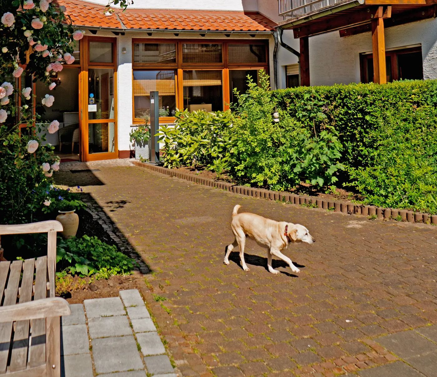 Hotel Bett und Frühstück