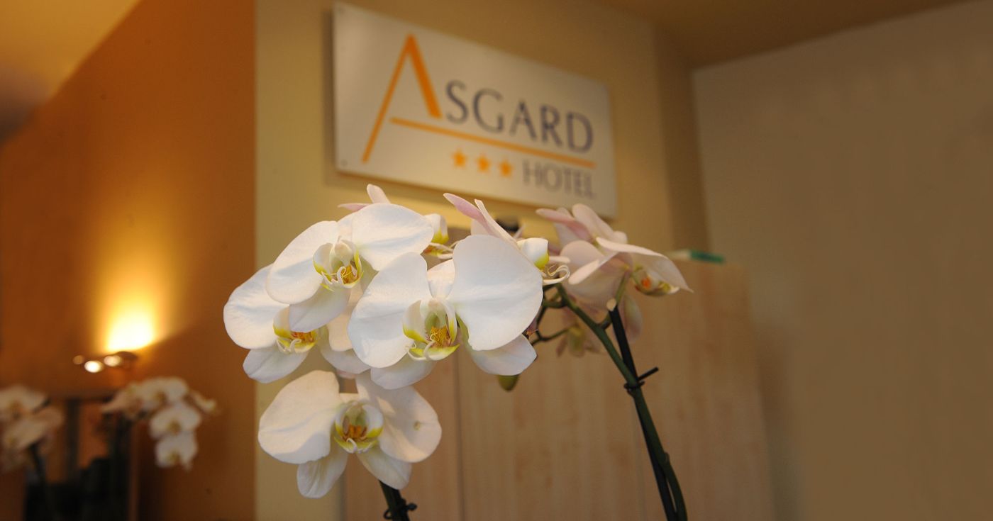 Asgard Hotel