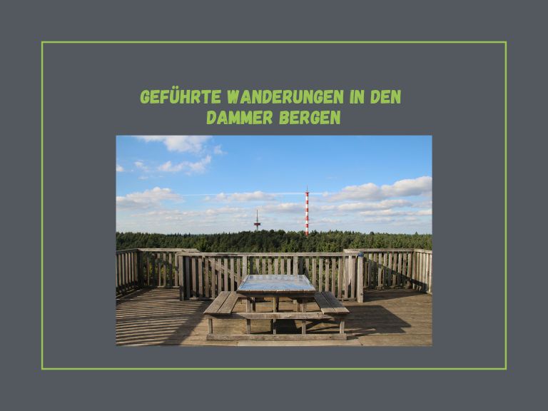 Hotel-Restaurant Waldhotel zum Bergsee