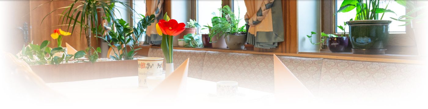 Hotel Garni Goldener Schwan