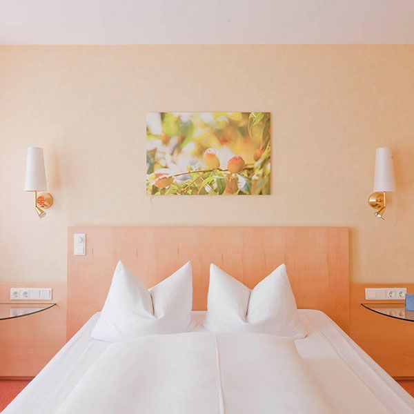 Hotel Luise