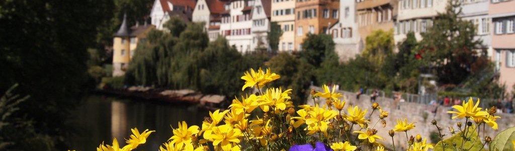 Hotel am Bad