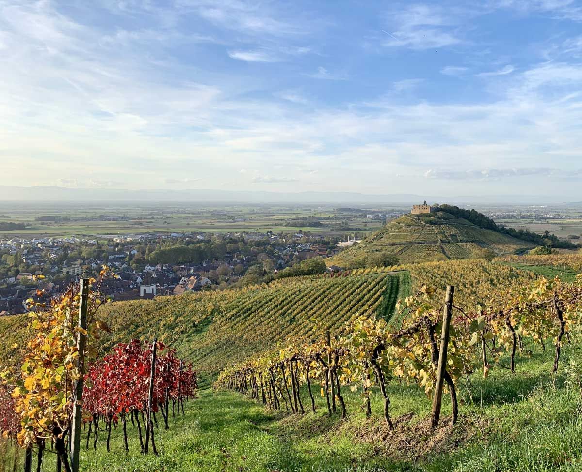 Die Krone
