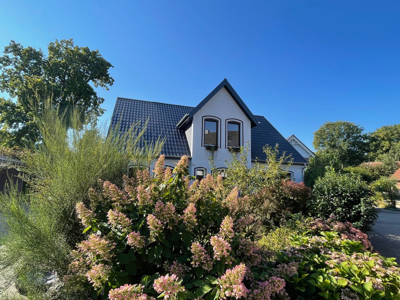 Haasehof