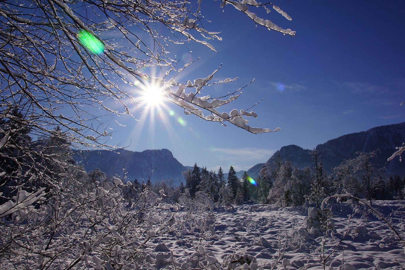 Wimmerhof Inzell