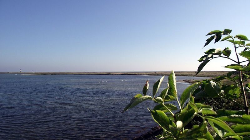 Strandvilla Ahoi Sandburg