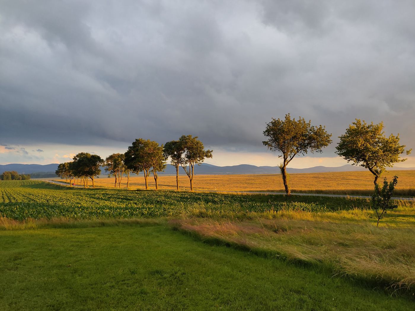 Mühlenhof Oberseifersdorf