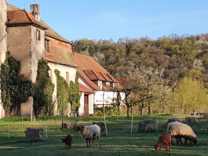 Elgersheimer Hof