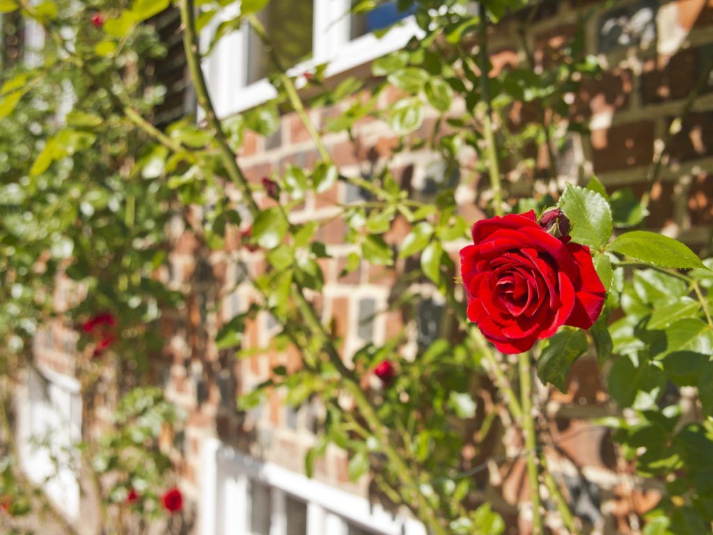Romantikhotel Gutshaus Ludorf