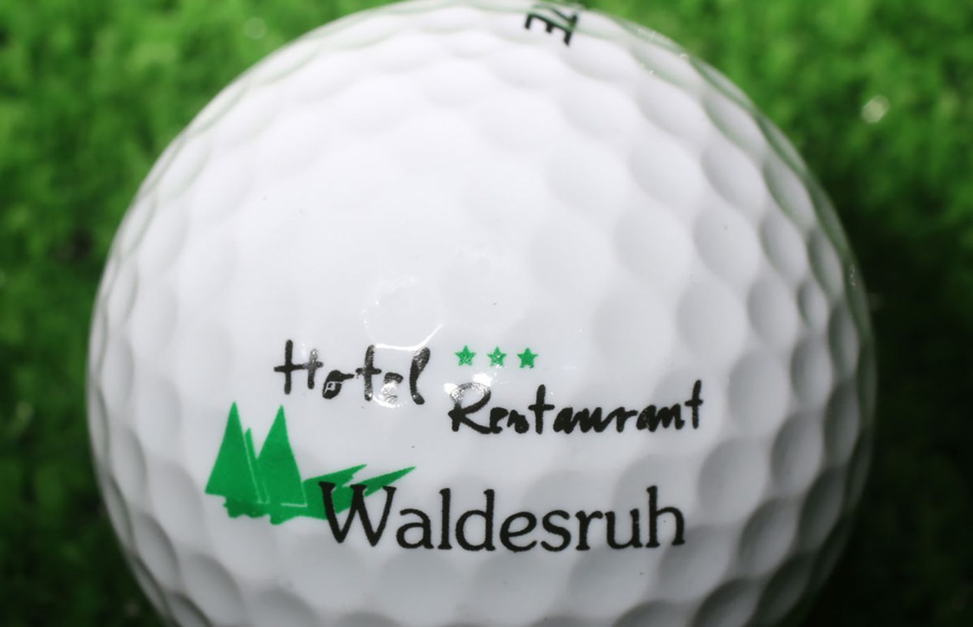 Hotel Waldesruh