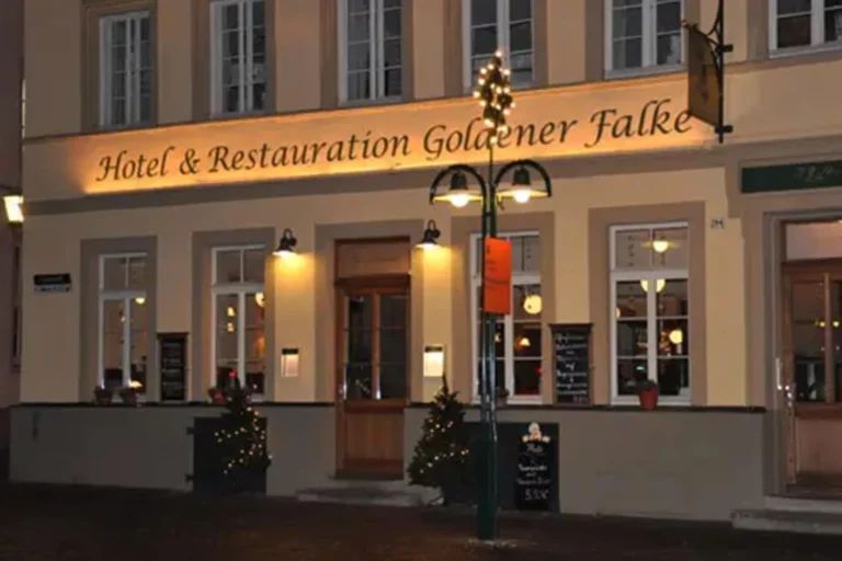 Goldener Falke
