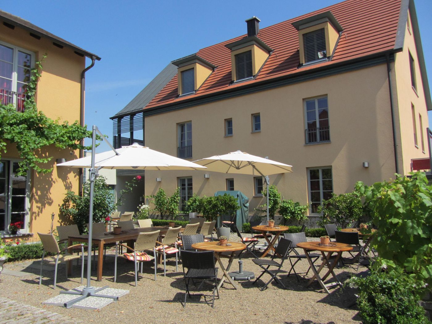 Weinblatt