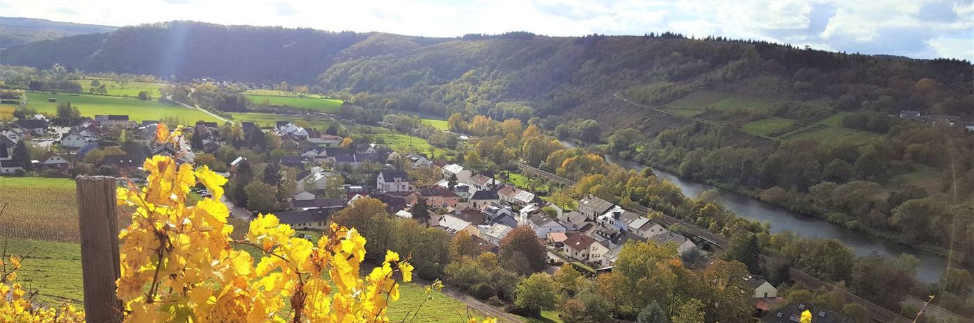 Ferienhaus "Zur alten Rebe"