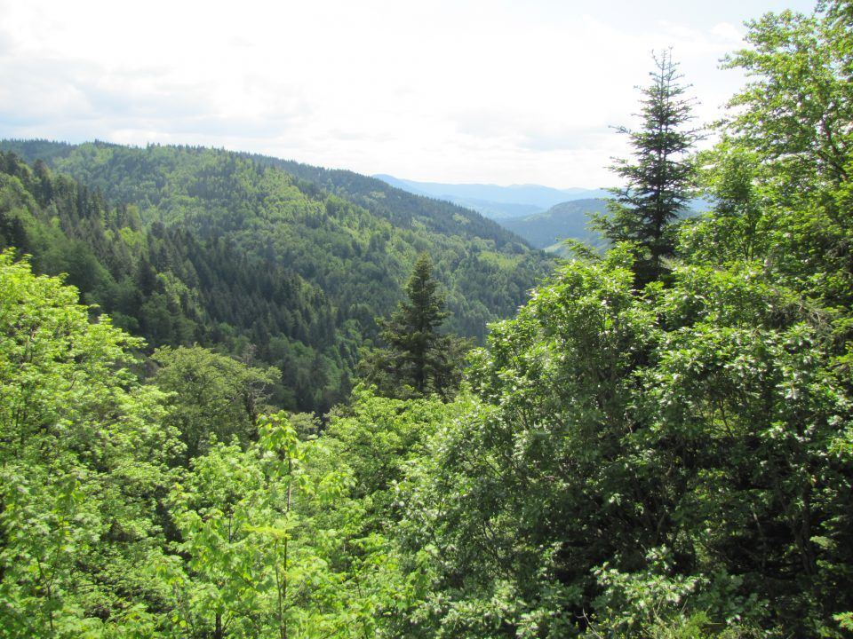 Ferienhaus Feder
