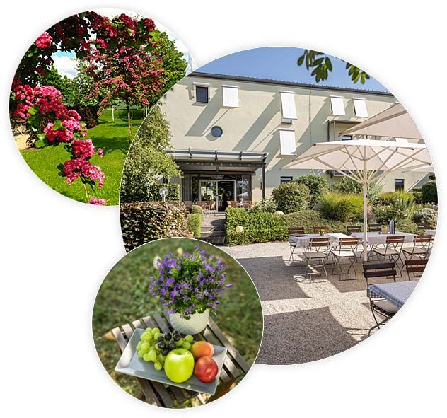 Hotel Moritz an der Elbe