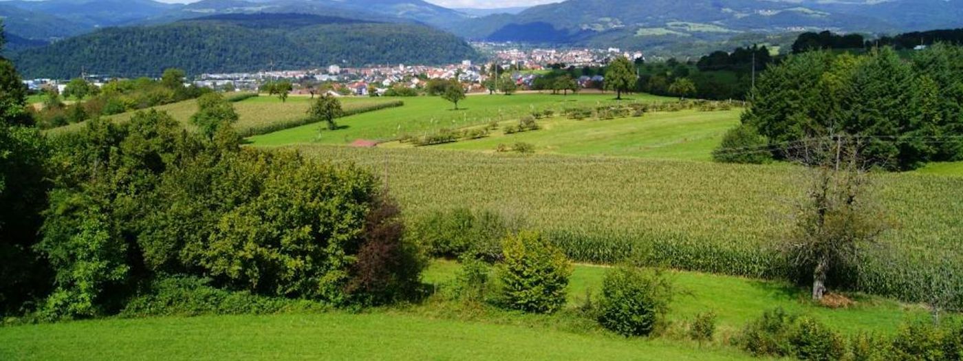 Hohe Flum